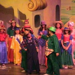 Wizard of OZ